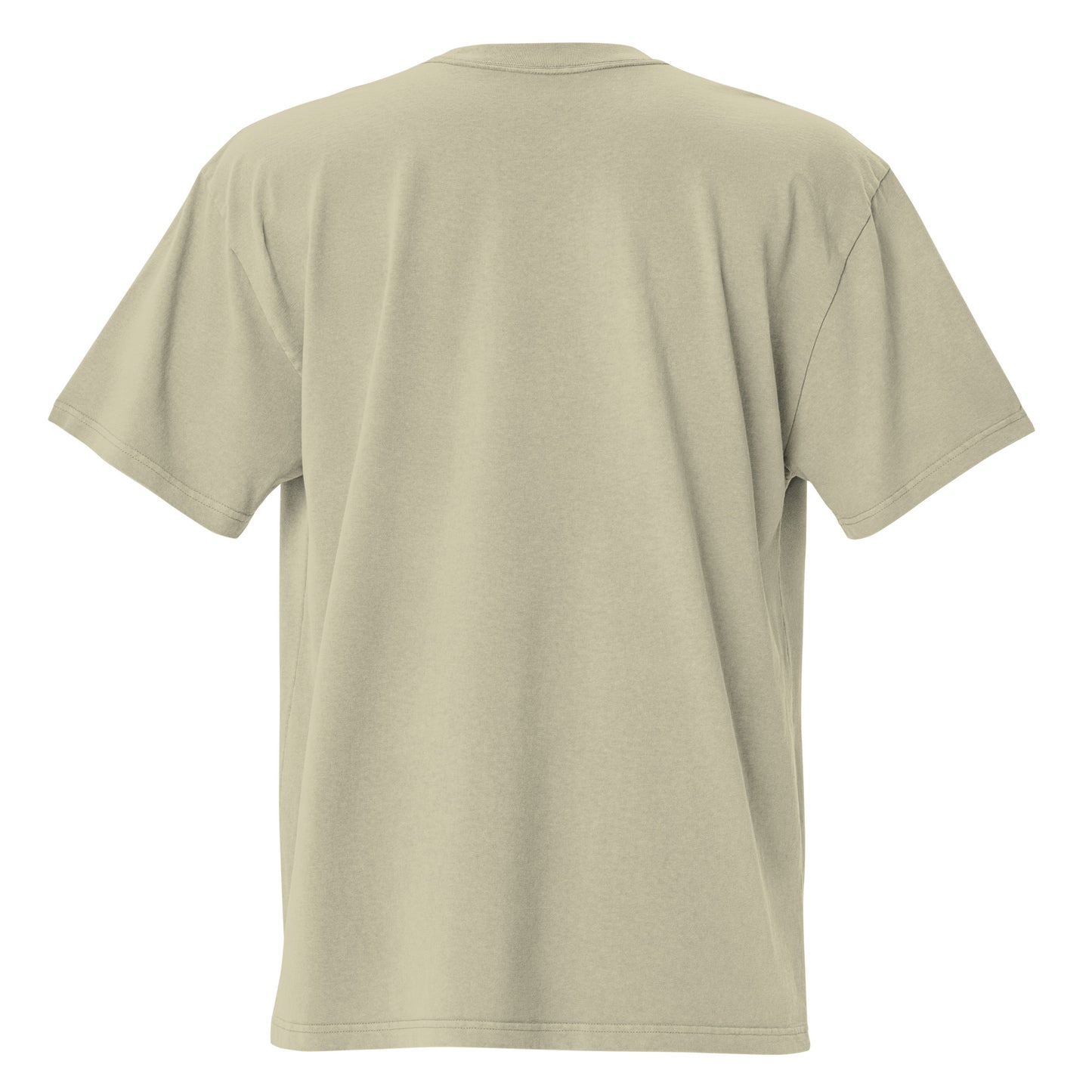 Erin Escobar's Signature Oversized faded t-shirt